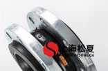 天狮生产的DN125卧式热水泵橡胶接头有什么特点？